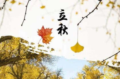 波風水門怎么上天