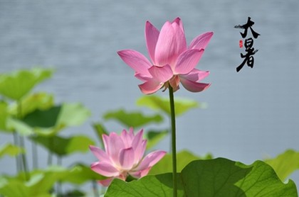 ?八字的月份是農歷嗎